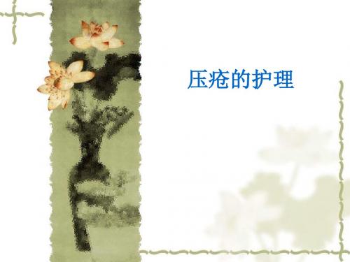 压疮的护理-2 PPT课件