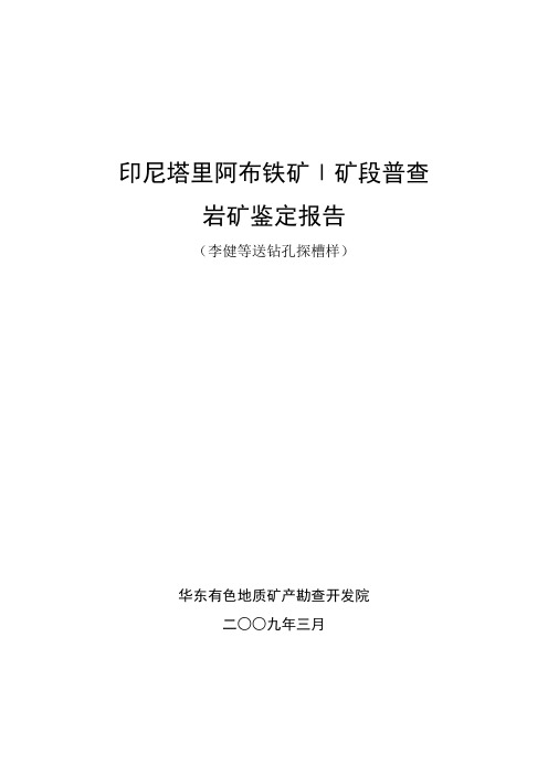 岩矿鉴定报告(余绍桂)-090316