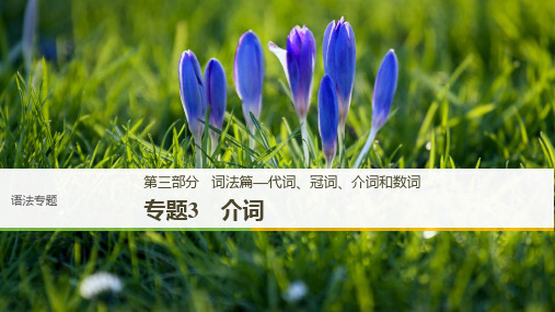 2019版高考英语一轮话题复习人教全国版课件：语法专题 第三部分 专题3 精品