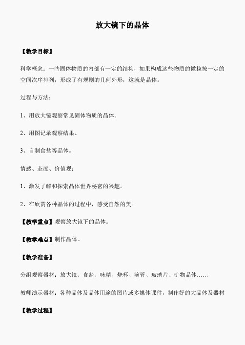 教科小学科学六下《1.3、放大镜下的晶体》word教案(8)