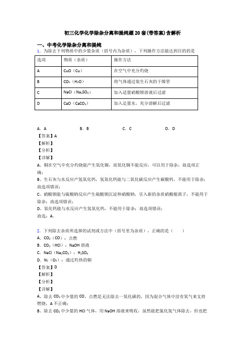 初三化学化学除杂分离和提纯题20套(带答案)含解析