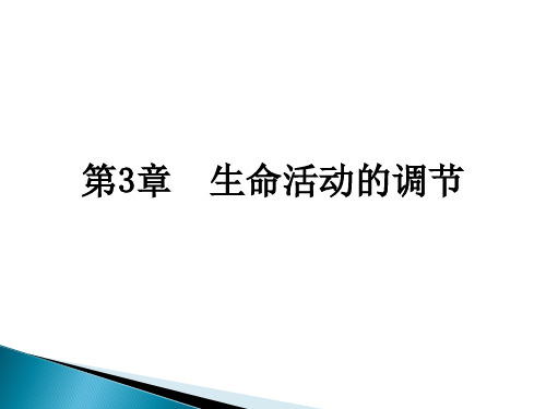 浙教版科学《神经调节》ppt精品课件1