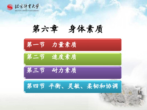 运动生理学课件