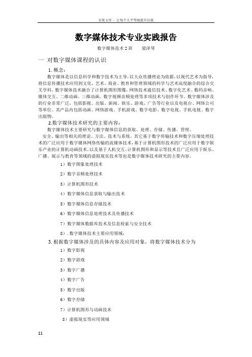 数字媒体技术专业实践报告