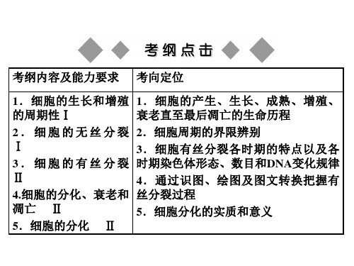 细胞增殖复习课件