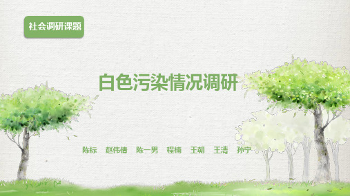 白色污染ppt