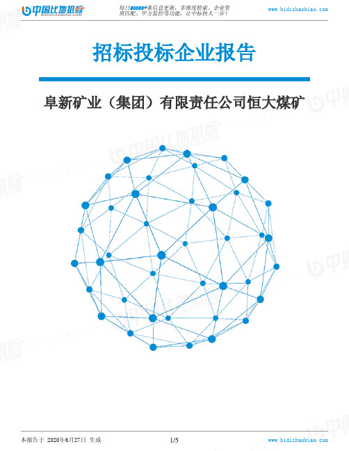 阜新矿业(集团)有限责任公司恒大煤矿-招投标数据分析报告