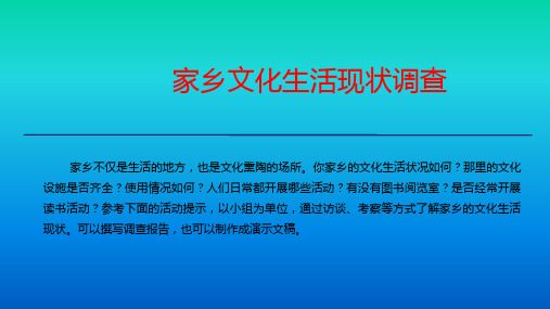 《家乡文化生活现状调查》ppt课件 (2)
