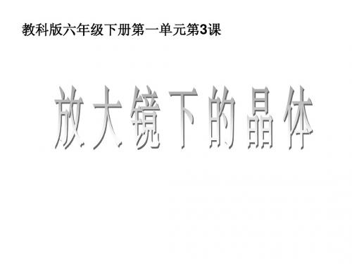 六年级下册科学《放大镜下的晶体》教学设计优质课件