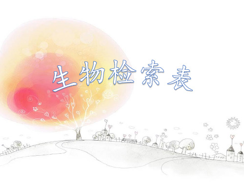 2020-2021学年苏科版七年级下册生物 14.2生物检索表 课件  