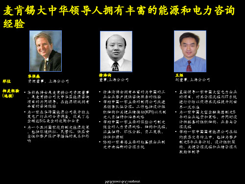 麦肯锡项目组成员介绍