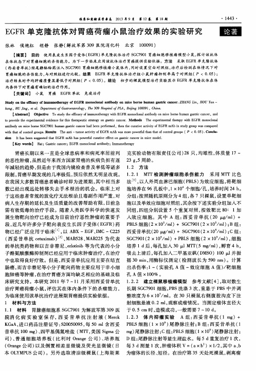EGFR单克隆抗体对胃癌荷瘤小鼠治疗效果的实验研究