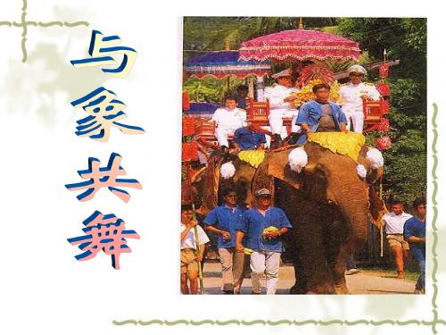 《与象共舞》ppt