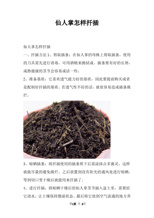 仙人掌怎样扦插