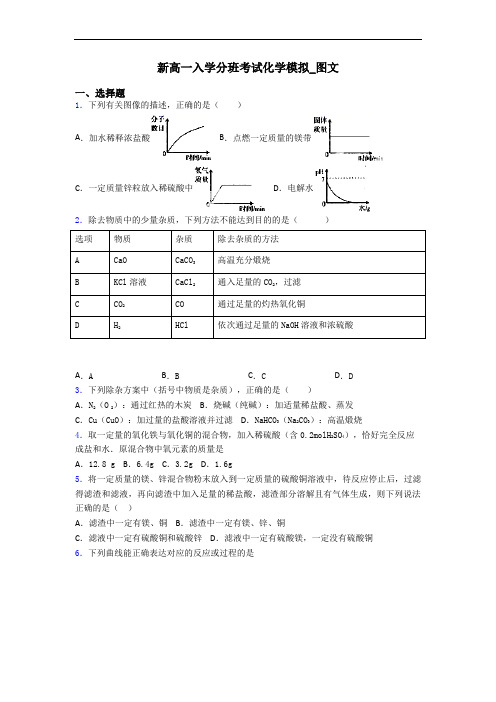 新高一入学分班考试化学模拟_图文