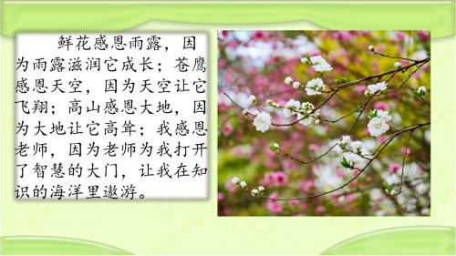 新北师大版三年级语文下册《3 春天的雨点》教学课件