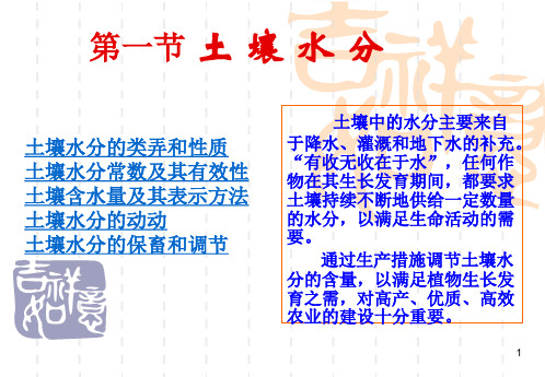 土壤水分的类型与性质