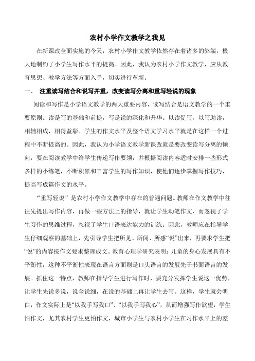 农村小学作文教学之我见