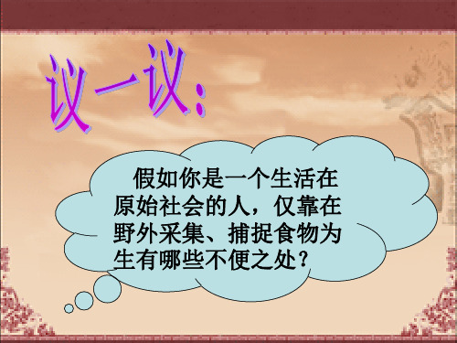 岳麓版新版七上第一单元史前时代第2课 原始农业 与村落生活课件 (共21张PPT)