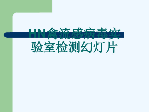 HN禽流感病毒实验室检测幻灯片