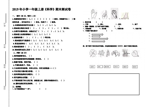2019年秋一年级科学上册期末测试卷含答案