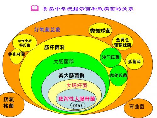 微生物检验2
