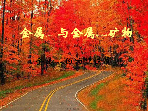 九年级化学上册《金属与金属矿物》课件1 _1