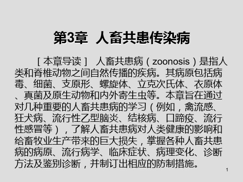 动物传染病第3章  人畜共患传染病