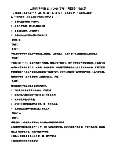 山东省济宁市2019-2020学年中考四诊生物试题含解析