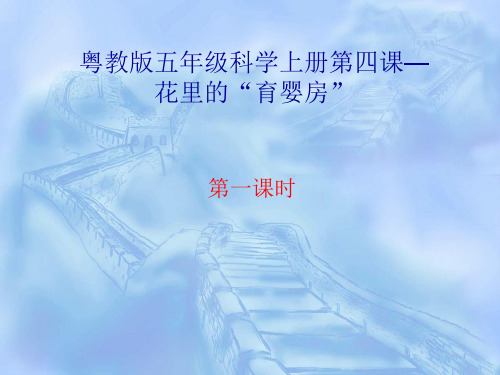 粤教版五年级上册科学第四课第一课时《花里的“育婴房”》 - 副本