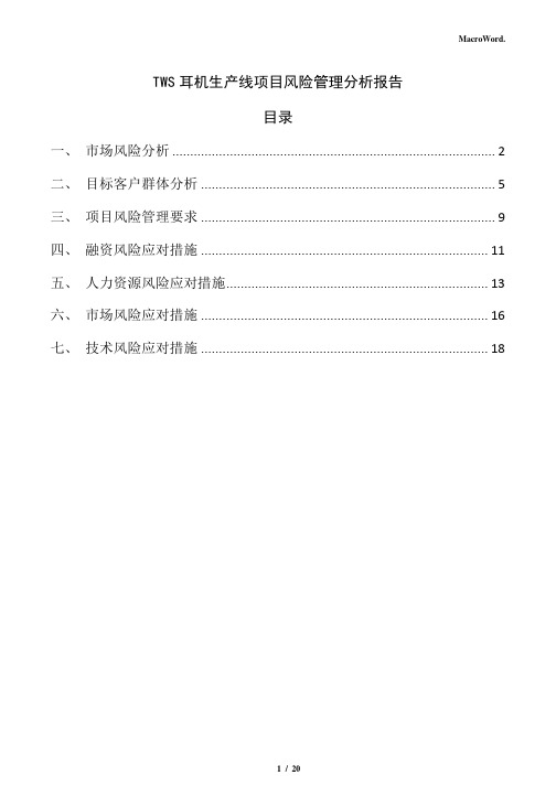 TWS耳机生产线项目风险管理分析报告