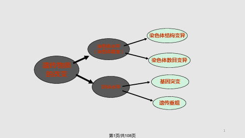 遗传物质改变PPT课件