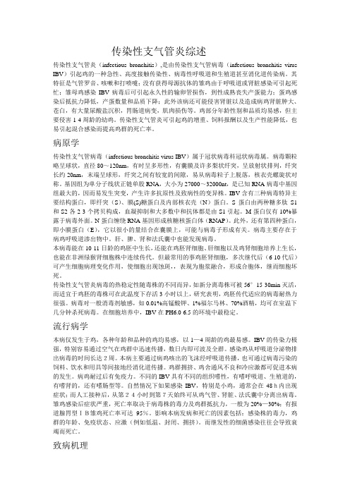 传染性支气管炎