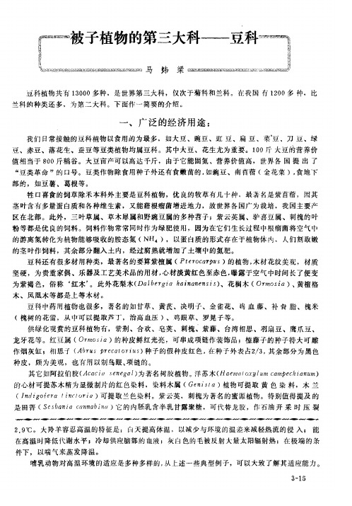 被子植物的第三大科——豆科