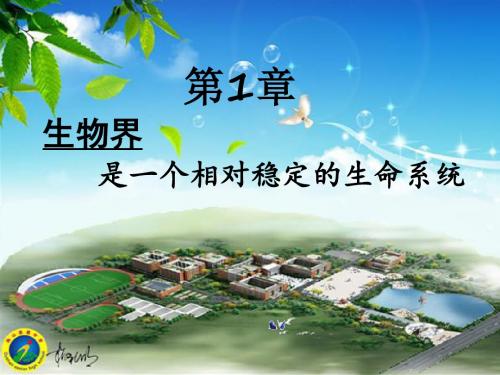 第1章：生物界是一个相对稳定的生命系统