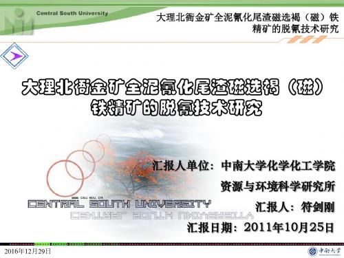 大理北衙金矿全泥氰化尾渣磁选褐(磁)铁精矿的脱氰技术研究-汇报材料1