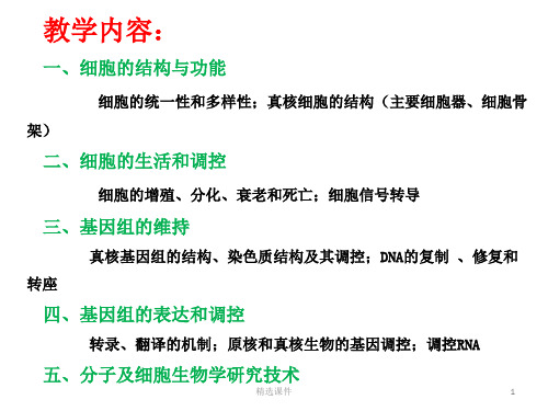 细胞生物学课件