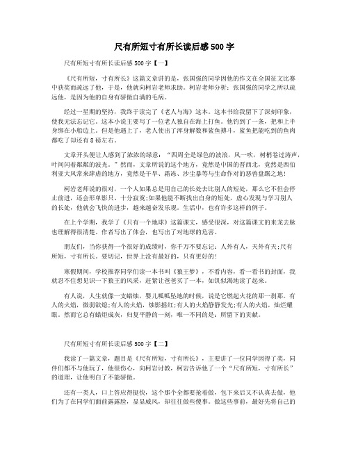 尺有所短寸有所长读后感500字