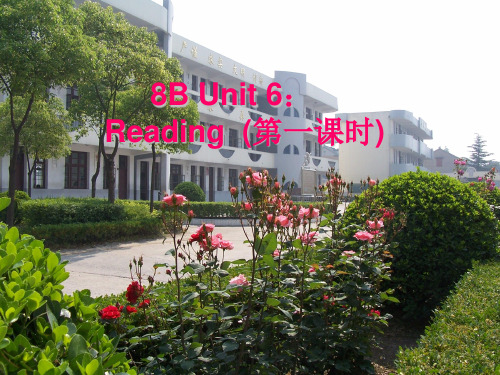 牛津版八年级下册Unit6 Reading a charity walk(共48张PPT)
