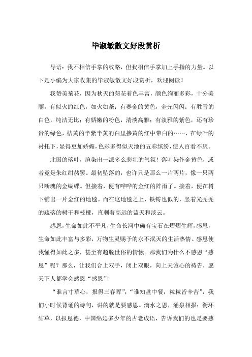 毕淑敏散文好段赏析