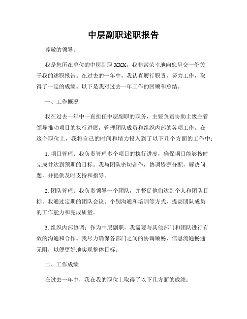中层副职述职报告