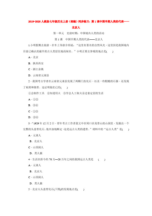 2019-2020人教版七年级历史上册(部编)同步练习：第1课中国早期人类的代表——