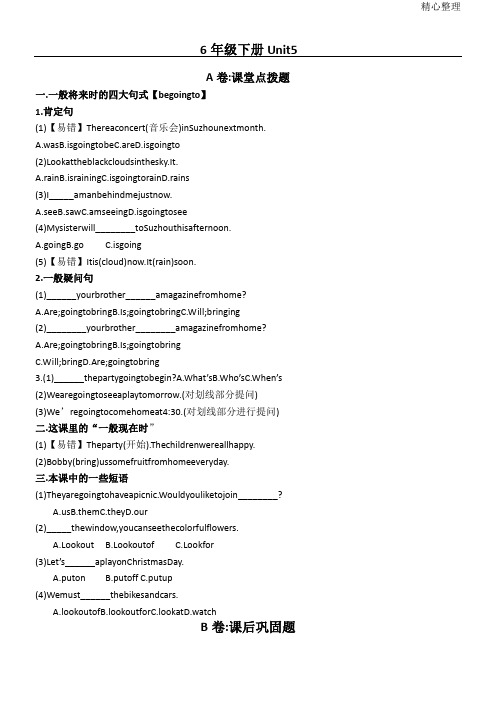 译林版重点小学英语6B Unit5 考点精练