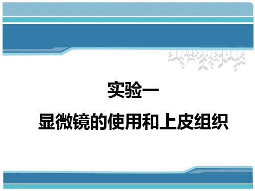 动物组织学与胚胎学实验