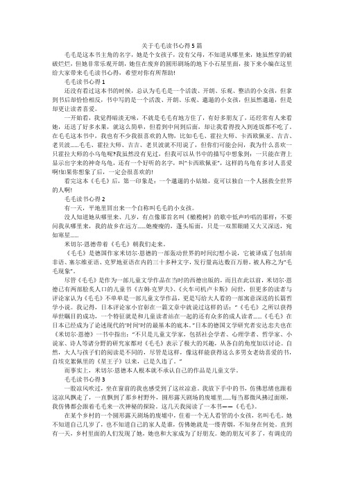关于毛毛读书心得5篇