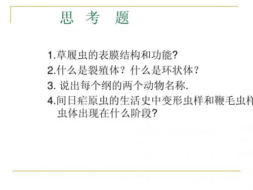 动物学课件--多细胞动物起源