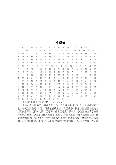 实验动物学 小型猪