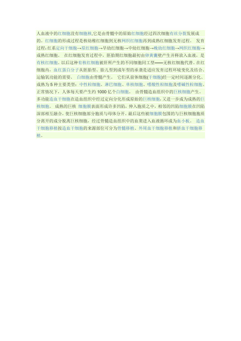 血细胞的形成过程