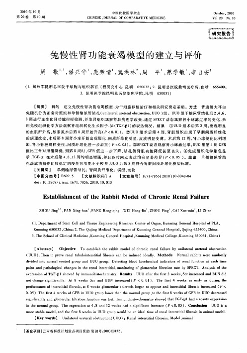 兔慢性肾功能衰竭模型的建立与评价