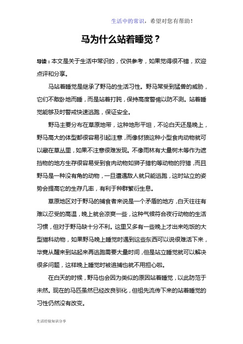 马为什么站着睡觉？